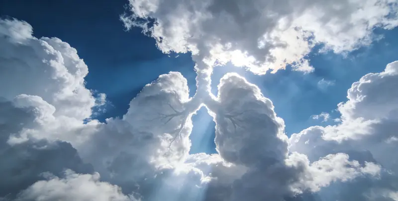 德阳肺癌120基因ctDNA突变检测(血液）图片1