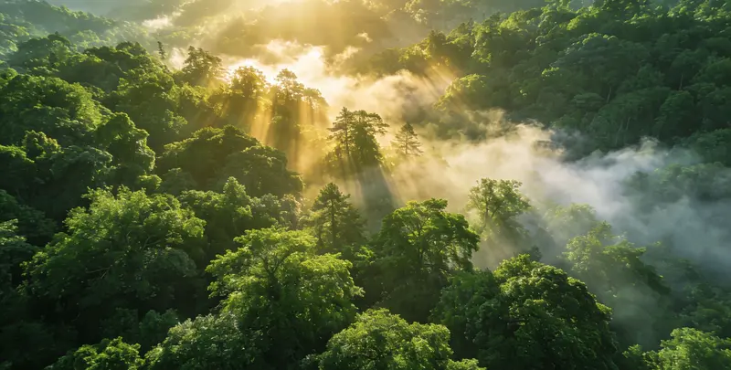 德阳肺癌（EGFR T790M)突变检测图片1